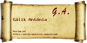 Gálik Antónia névjegykártya
